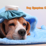 Understanding Dog Symptom Checker - Get Answers Now